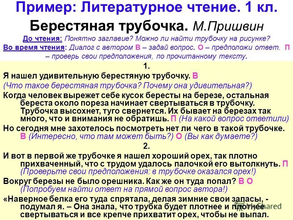 Пришвина берестяная трубочка. Берестяная трубочка пришвин читать. М пришвин берестяная трубочка. Иллюстрации к рассказу пришвина "берестяная трубочка. Пришвин берестяная трубочка иллюстрация.