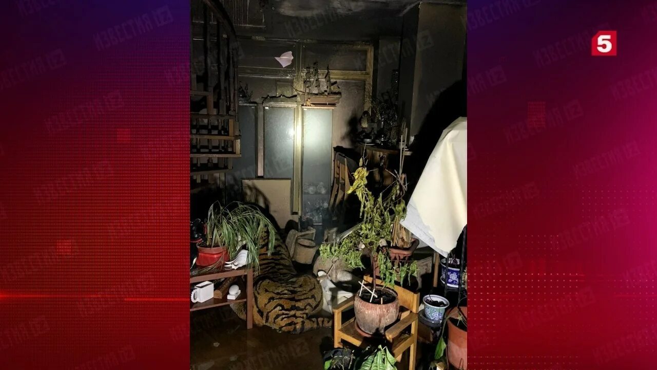 Хотя было уже поздно в комнате горела