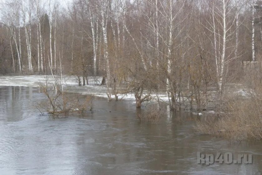 Уровень воды в реках калуги. Разлив реки Жиздра в Калужской области. Разлив угры в Калуге. Разлив угры в Калуге 2022. Разлив рек в Калужской области.