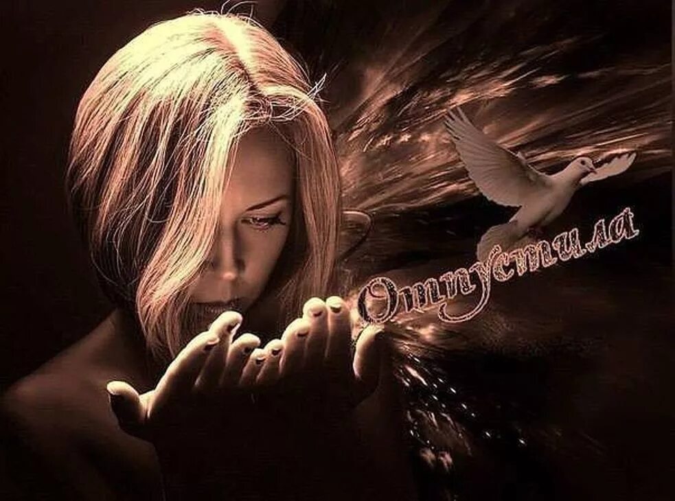 Девушка птица в небе. Песни девушке отпусти. Птица свободы. Валерия отпусти. Крид максим отпускаю.