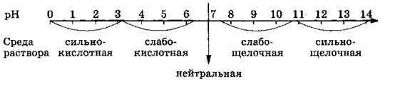 Ферменты имеющие оптиум в щелочной среде