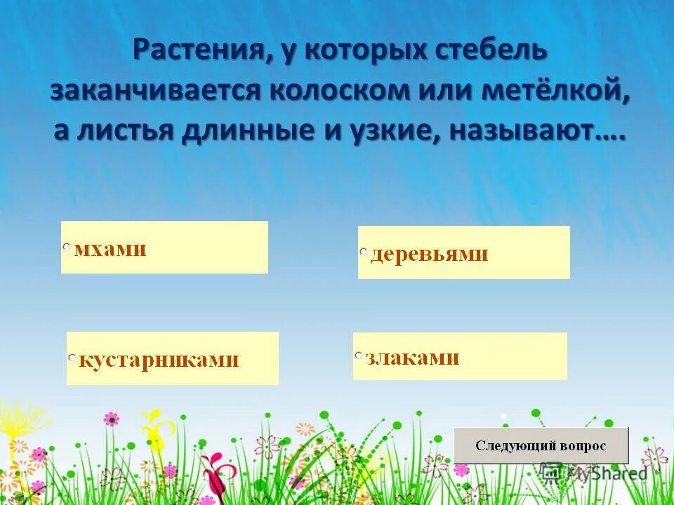 Задания для 3 класса по теме луг. Тест по теме природные сообщества. Контрольная работа по теме природные сообщества. Задания для 3 класса по теме луг с ответами. Тест луга 4 класс