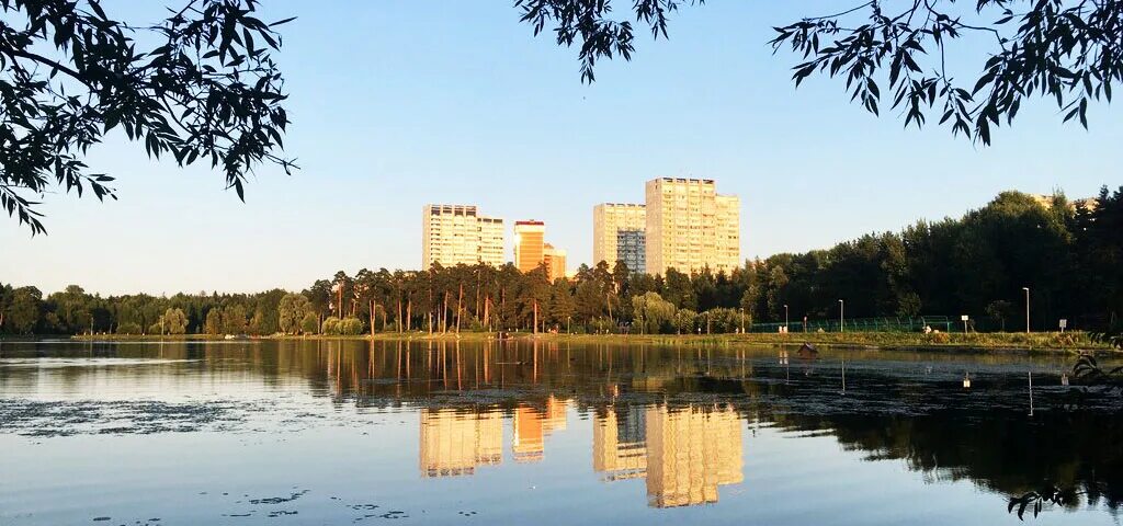 Зеленоград 10. Школьное озеро зеленоград. пляж школьное озеро зеленоград. озеро торфянка королев. школьное озеро (зелао).