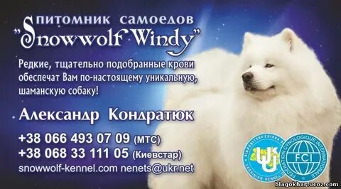 Питомник березовский свердловская область