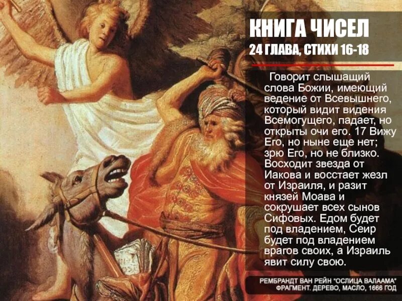 Стих книги библии. Книга чисел Библия. Восходит звезда от Иакова и восстает жезл от Израиля. Книга чисел книга книги Библии. Числа книга из Библии.