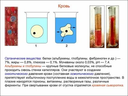 Органические вещества в плазме
