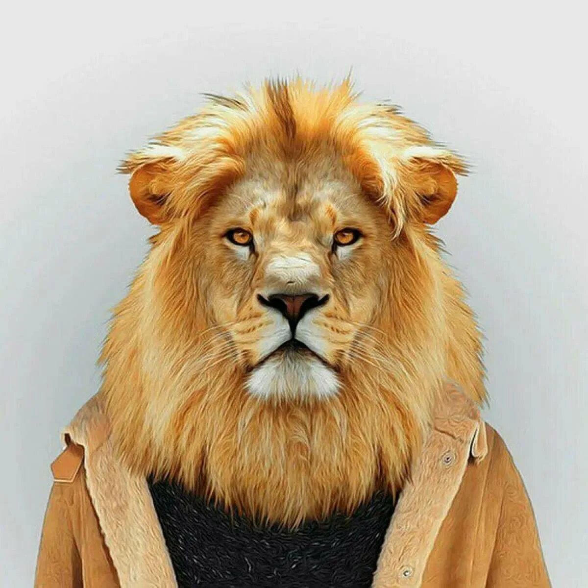 Лев без головы. Зоопортреты Timur. Зоопортреты Yago partal. Голова Льва. Портреты животных.