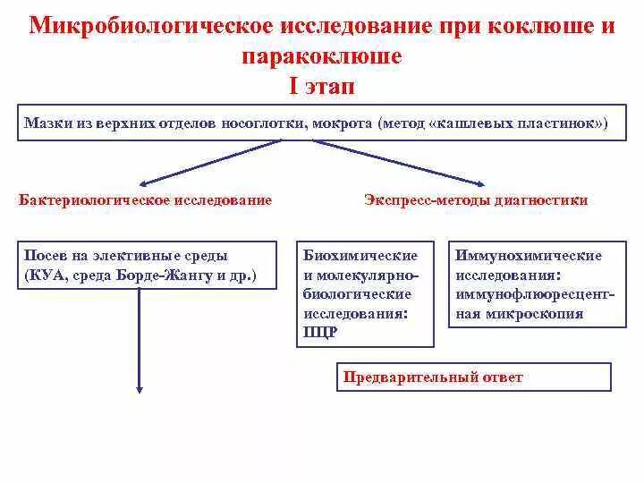 Сдача на коклюш. Схема лабораторной диагностики коклюша. микробиологическая диагностика коклюша и паракоклюша. паракоклюш материал для микробиологических исследований. лабораторная диагностика коклюша и паракоклюша микробиология.