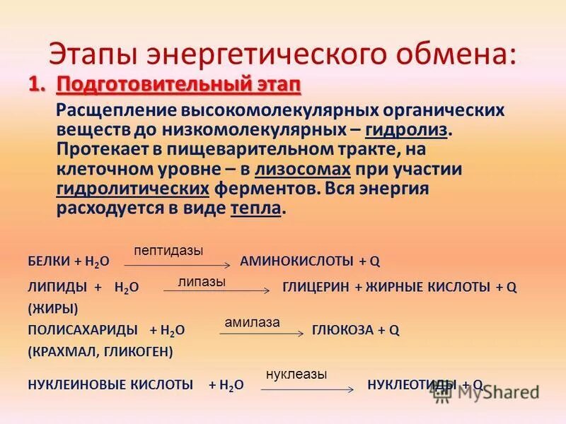 Схема процессов энергетического обмена. Подготовительный этап энергетического обмена схема. Формула подготовительного этапа энергетического обмена. Подготовительный бескислородный кислородный этапы таблица. Кислородный этап энергетического обмена схема.