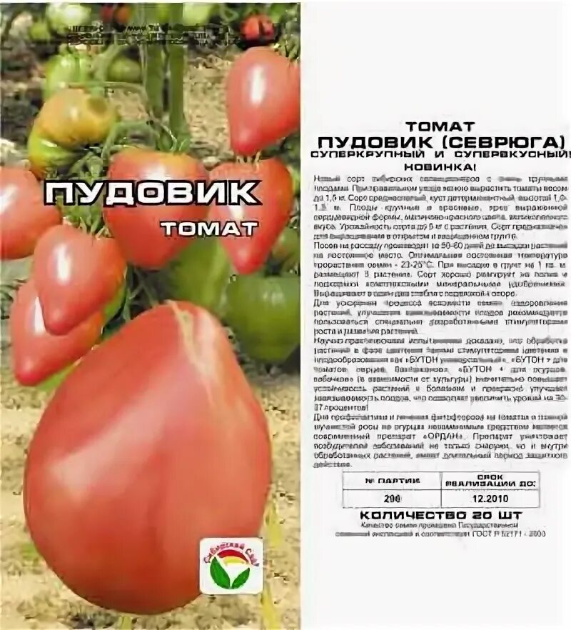 Пудовик урожайность. Сорт помидор Пудовик. Семена томат Пудовик. Помидора розовый Пудовик. Севрюга 20шт томат (Сиб сад).