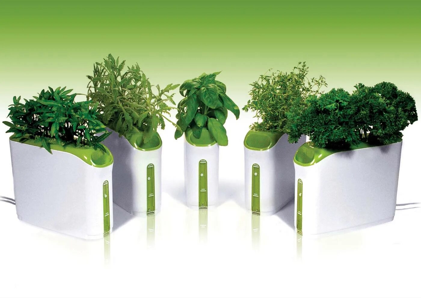 Оборудование для комнатных растений. Гидропоника микрозелень. Гидропоника 2022. Горшок для аэропоники. Растения на гидропонике.