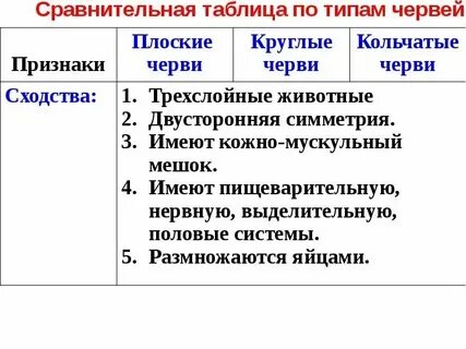 Сходства круглых и кольчатых