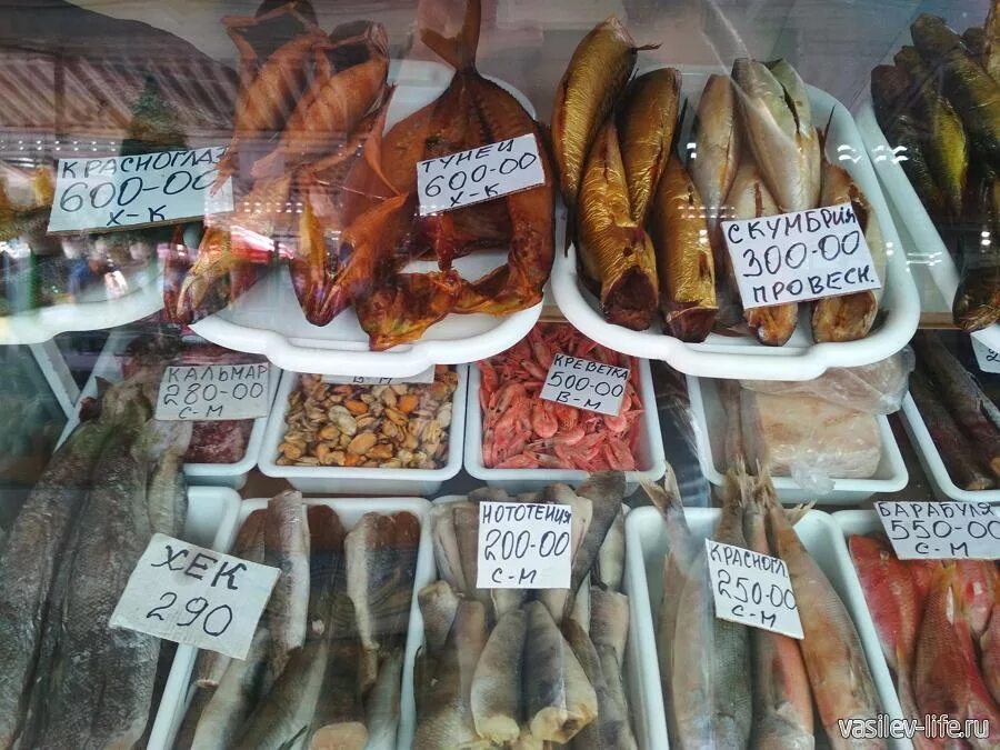 В судаке много костей