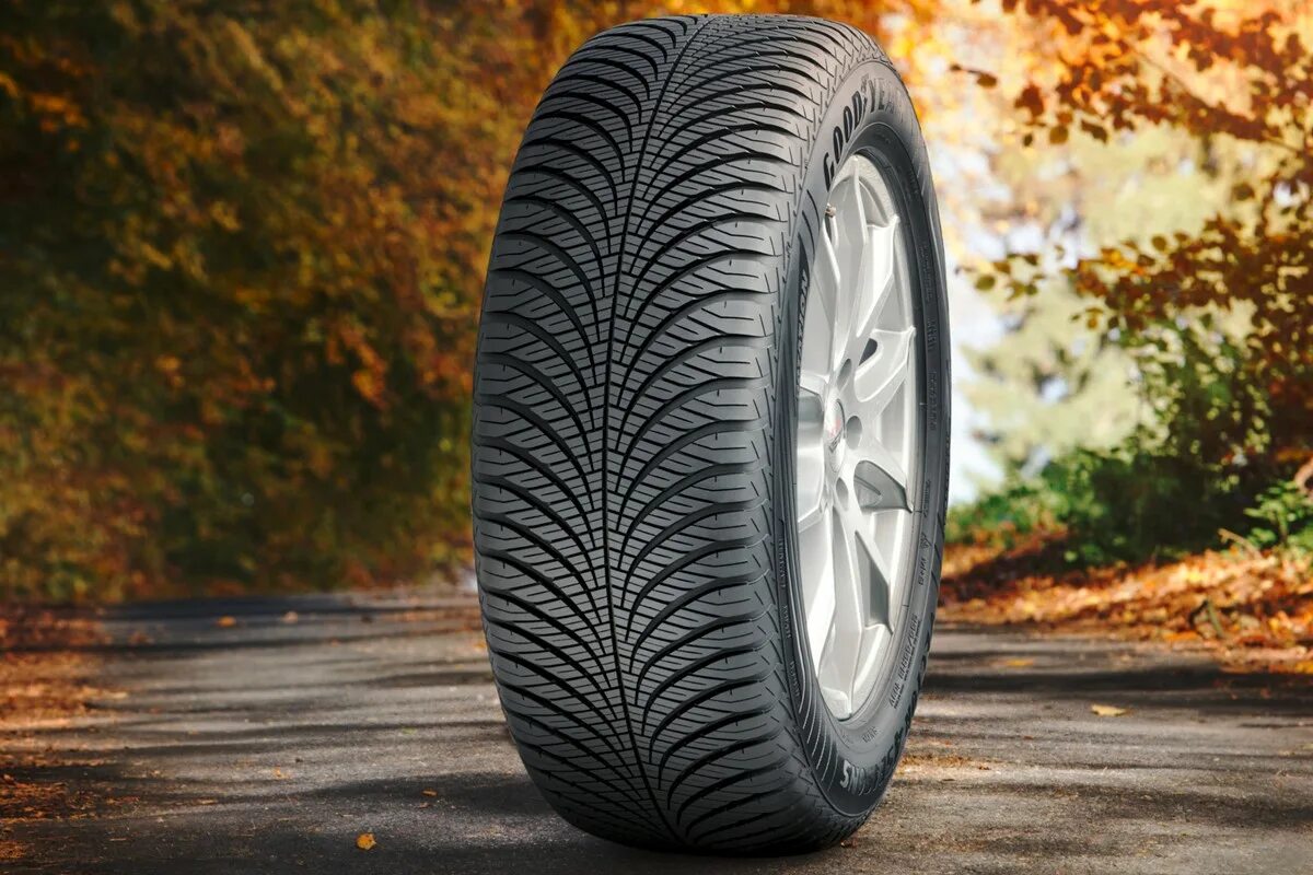 Гудиер r16 лето. Покрышки Гудиер. Michelin Goodyear шины.