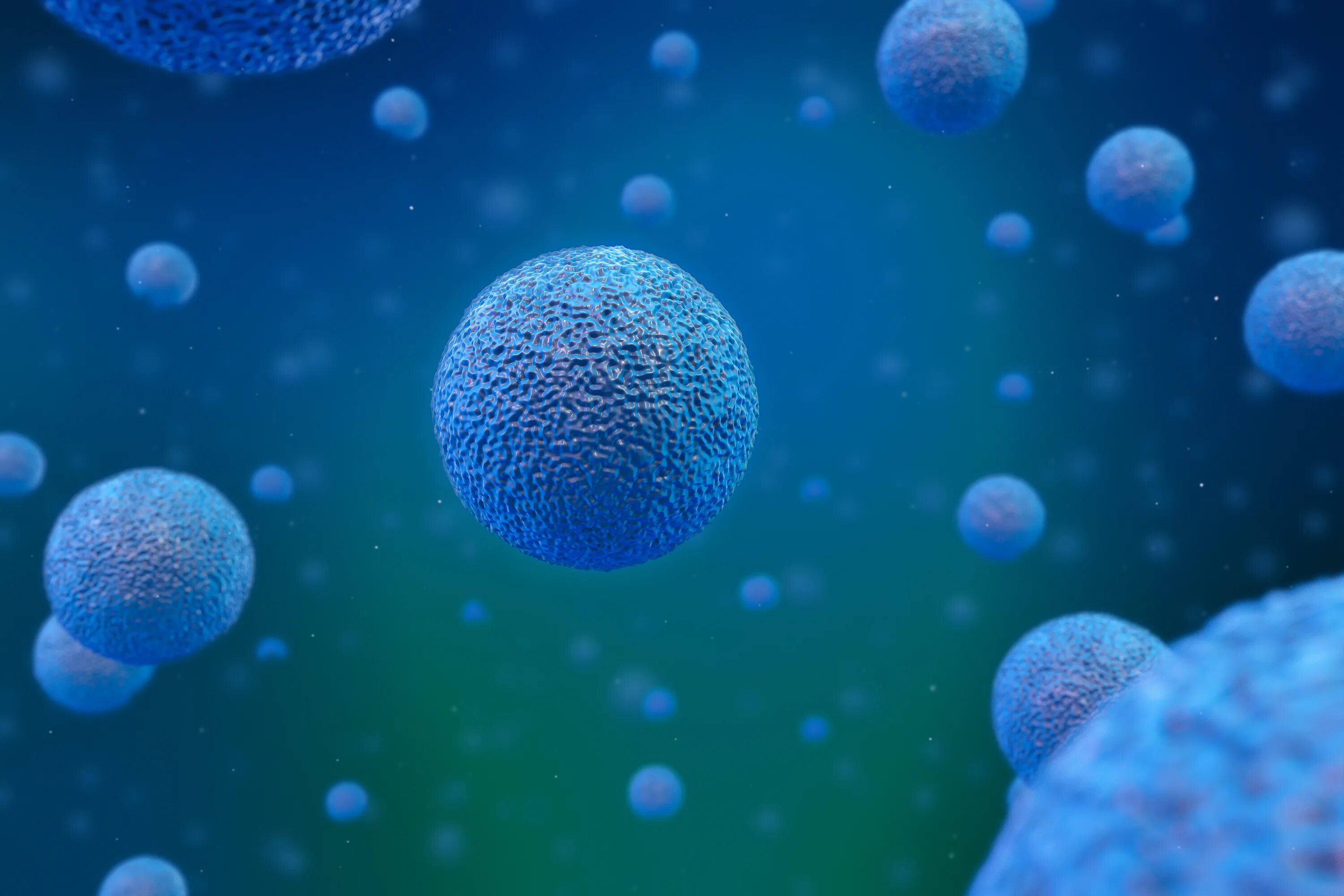 Cell image