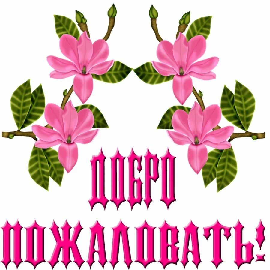 Приветствуем мам