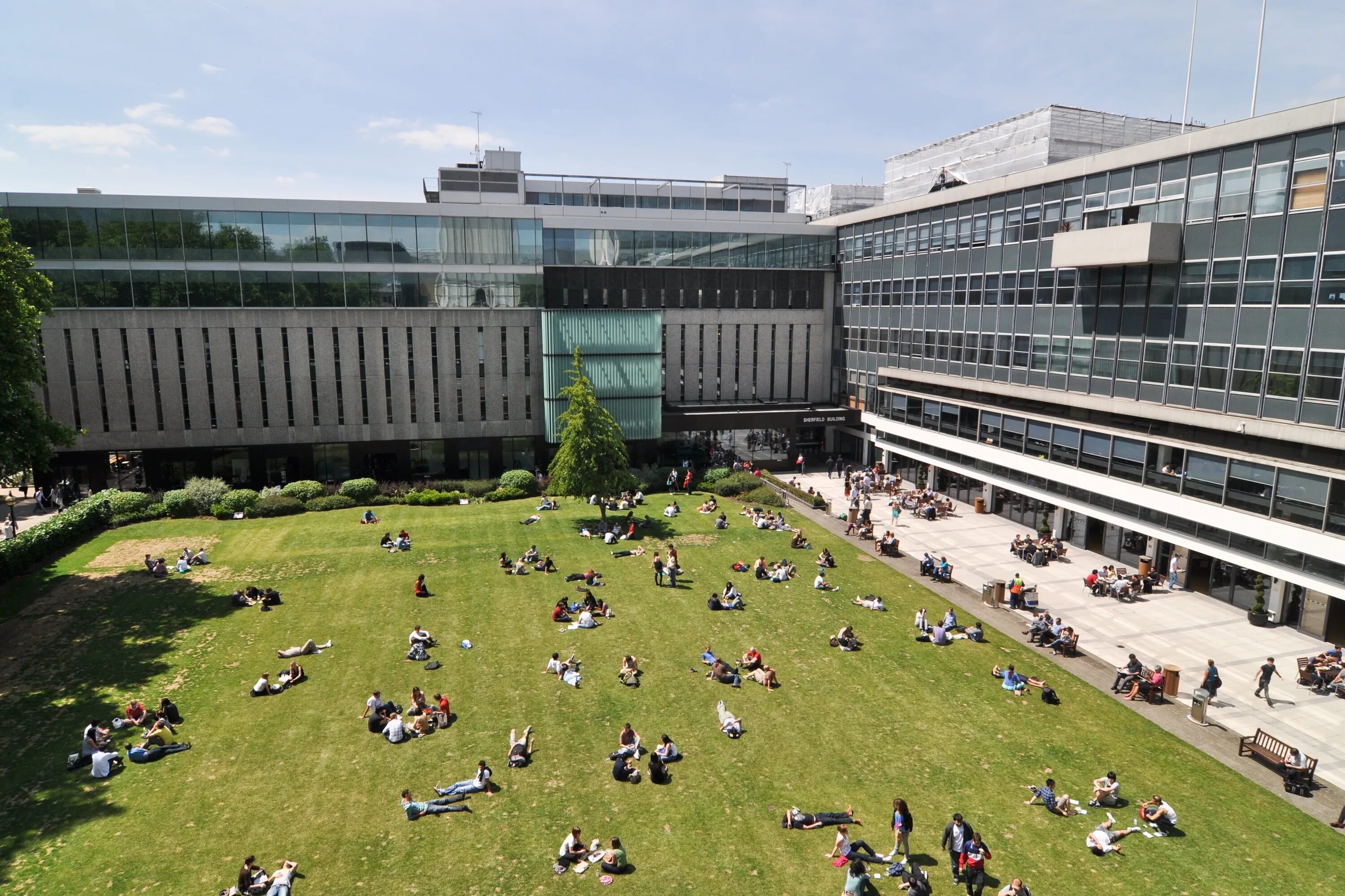 Forum school. Имперский колледж Лондона Imperial College London. Университет Империал колледж Лондонский. Кампусы имперского колледжа Лондона. University College London кампус.