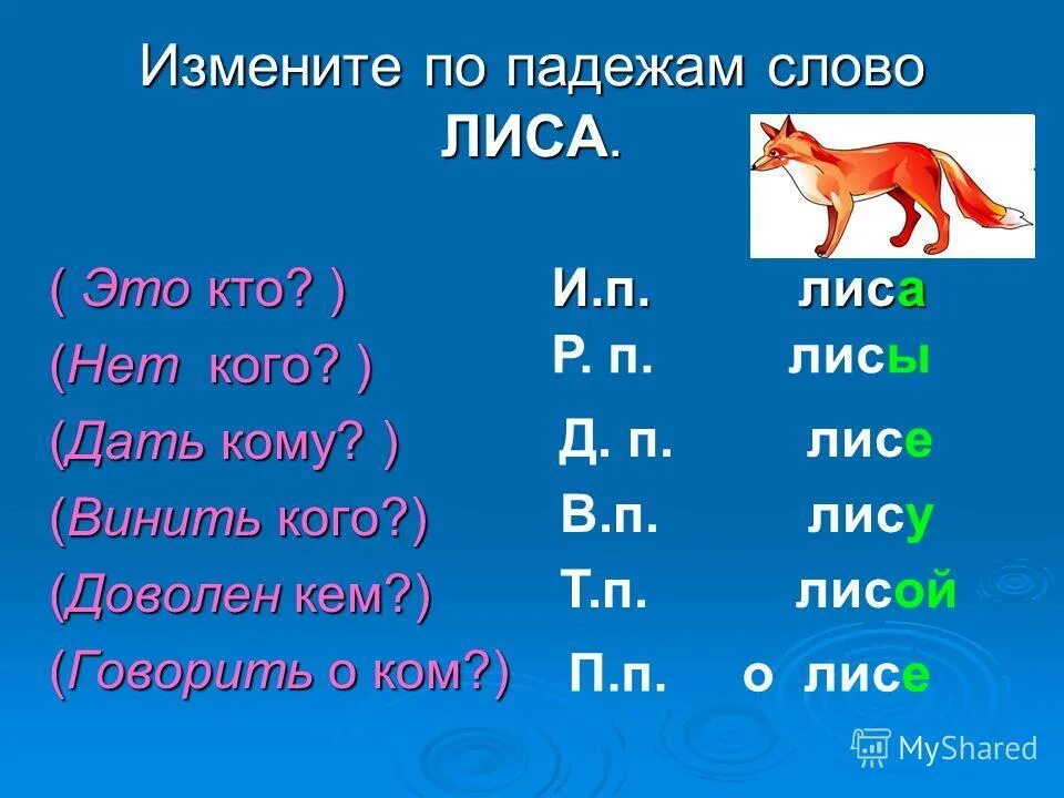 Лисица какой падеж. Слово лиса по падежам. Лиса по падежам. Падежи лиса лису.