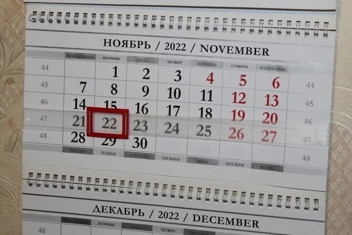 22 Ноября 2022 зеркальная Дата. Календарь ноябрь. Календарь 22. 22.11.22 Зеркальная Дата картинки. 22 числа ноября