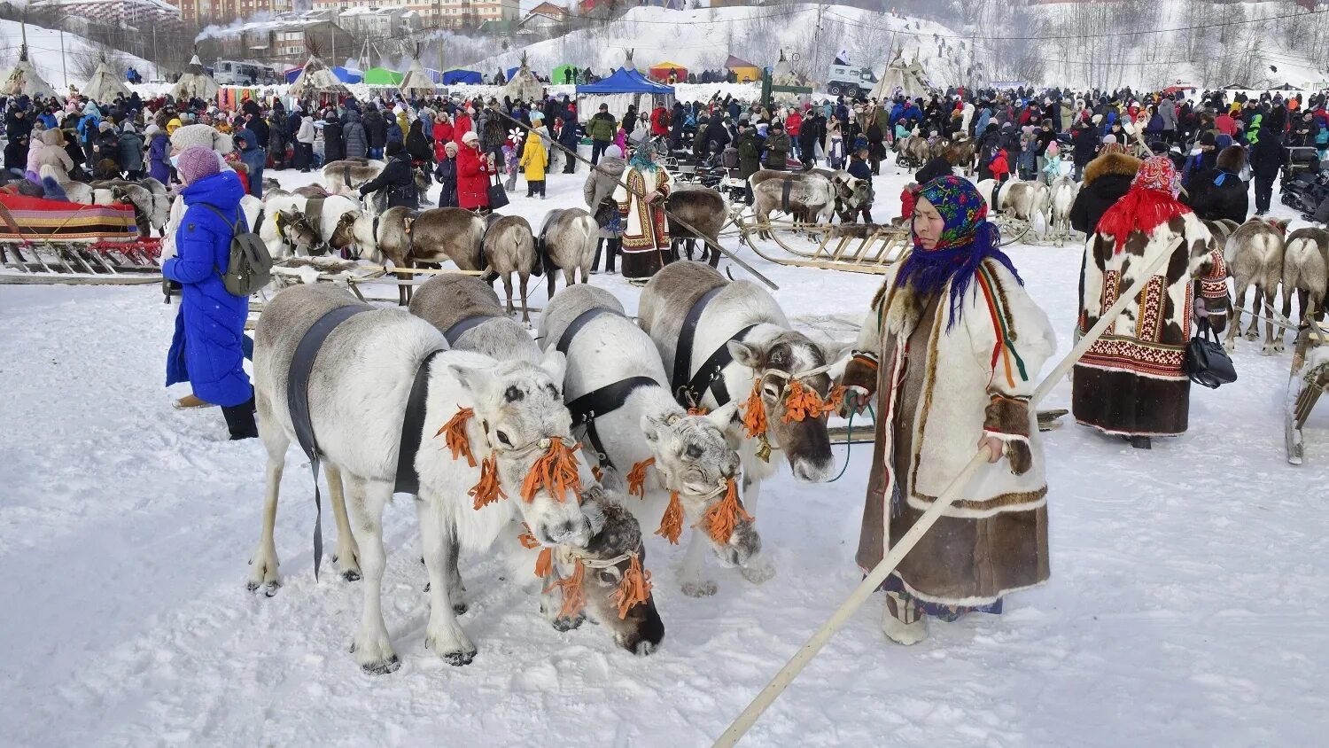 День оленевода число