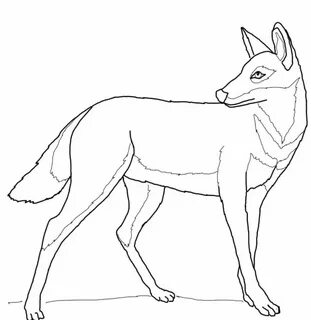 Шакал рисунок