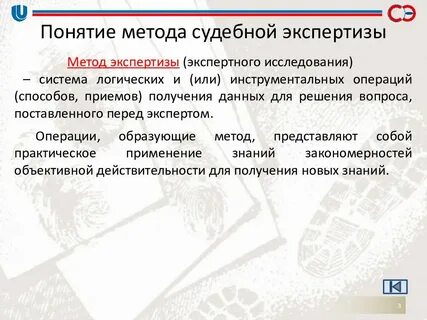 Экспертные методы экспертизы