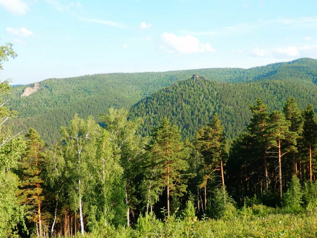 Бурятия холмы тайга. Горная тайга забайкальского края. Международный день лесов фото. Лес тайга сибирь вид сверху. Сибирская тайга хмао сверху.