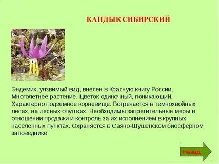 Эндемики это животные или растения которые встречаются