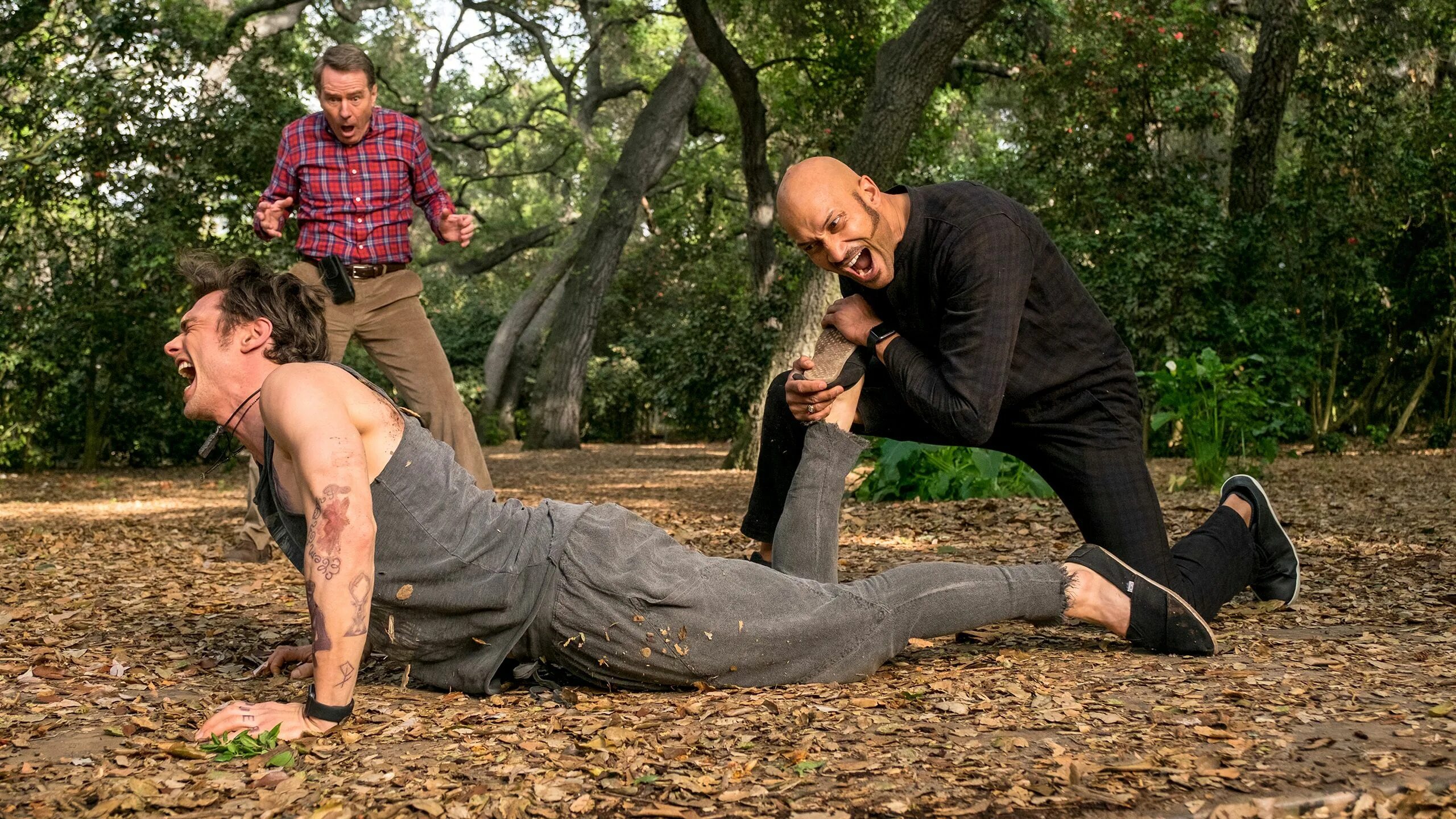 He movies. He movies. He movies. Комедии с родителями. Комедия: «почему он?» (2016, сша).