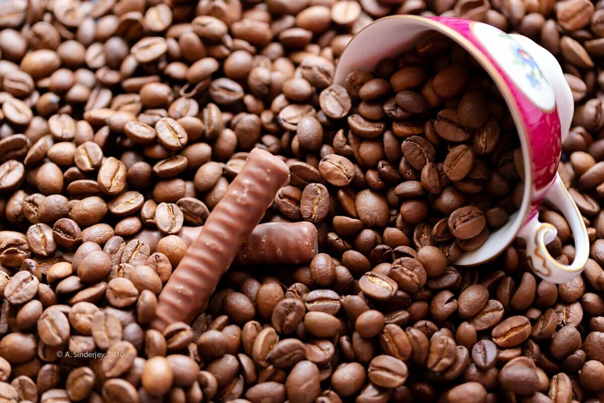 сорта кофе бразилия. кофейные зерна бразилия. 100 арабика в зернах бразилия. кофе какао бразилия. кофейные зерна бразилия.