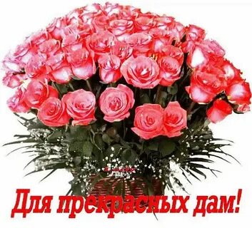 Дай букет
