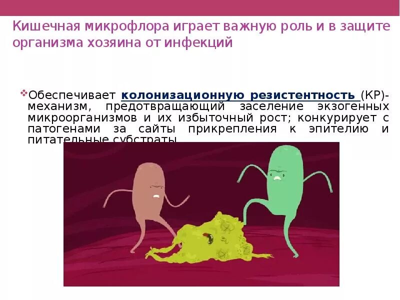 Тип взаимоотношений между человеком и кишечной микробиотой