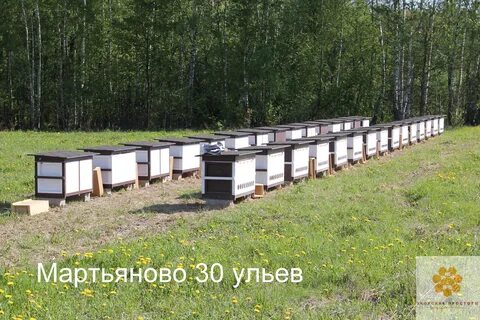 Расстановка ульев