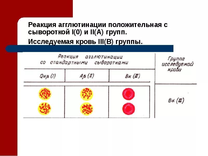 Фактор группы крови