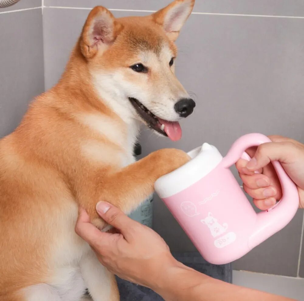 Лапомойка для собак. Pet wash (мойка питомцев). мойка для лап собак xiaomi j&amp;j pet foot washer brush. лапомойка xiaomi petkit pet.