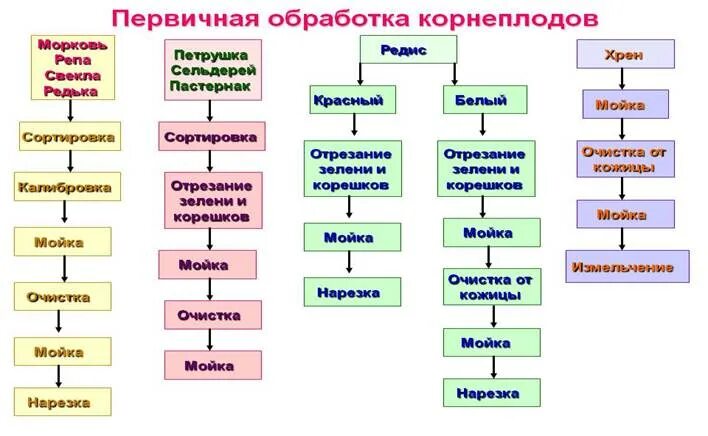 Первичная обработка корнеплодов схема. Технологическая схема первичной обработки капустных овощей. Технологическая обработка производства