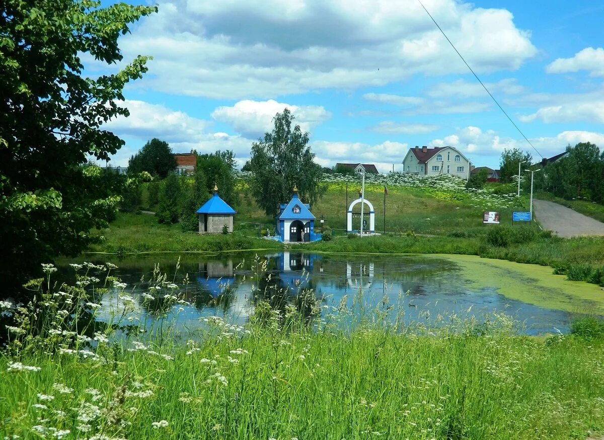 Родник пушкино. Родник в Софрино. Софрино Пушкинский район. Софрино Святой источник. Водоемы Софрино.