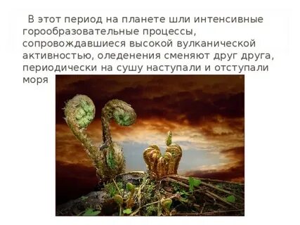 На некоторой планете