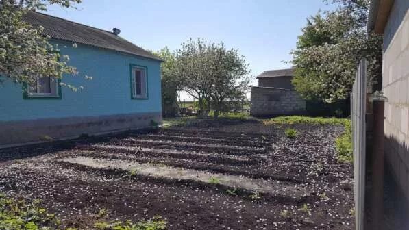 Гисметео темрюк. Погода в куликовский краснодарский край. Погода в куликовский краснодарский край. Погода в куликовский краснодарский край. Температура в ижевске.