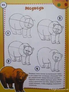 Как нарисовать животных года