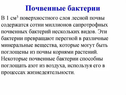 Почвенные бактерии
