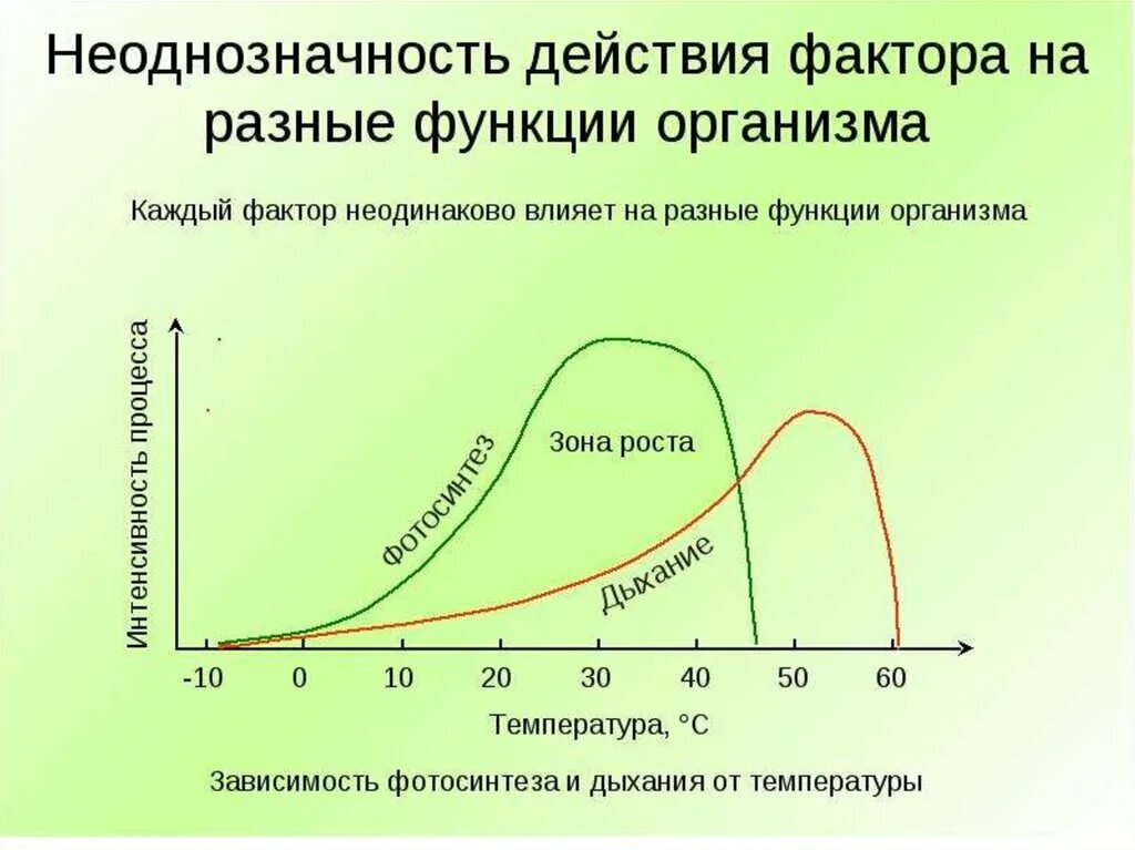 Влияние факторов среды обитания на организмы. Общие законы действия факторов среды на организмы. общие закономерности факторов среды на организм. общие закономерности действия факторов среды. общие закономерности действия факторов среды на организм.