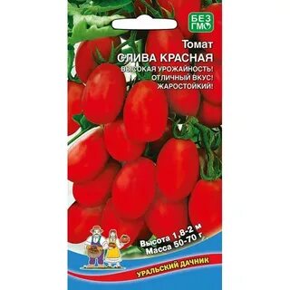 Слива томат описание