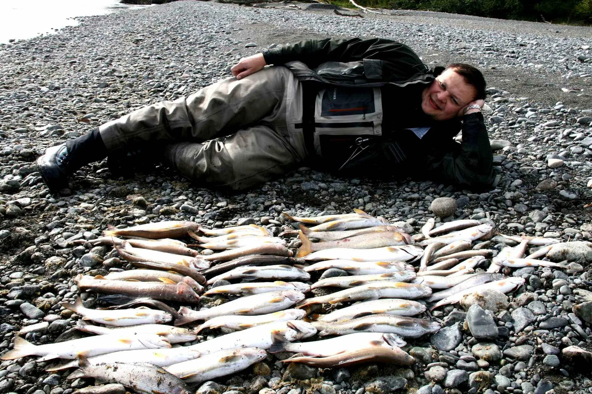 Рыб артель. Петропавловск-Камчатский рыбалка. Рыбалка на Камчатке. Охота и рыболовство. Рыба Камчатки.