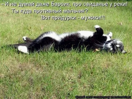 Подождем приколы