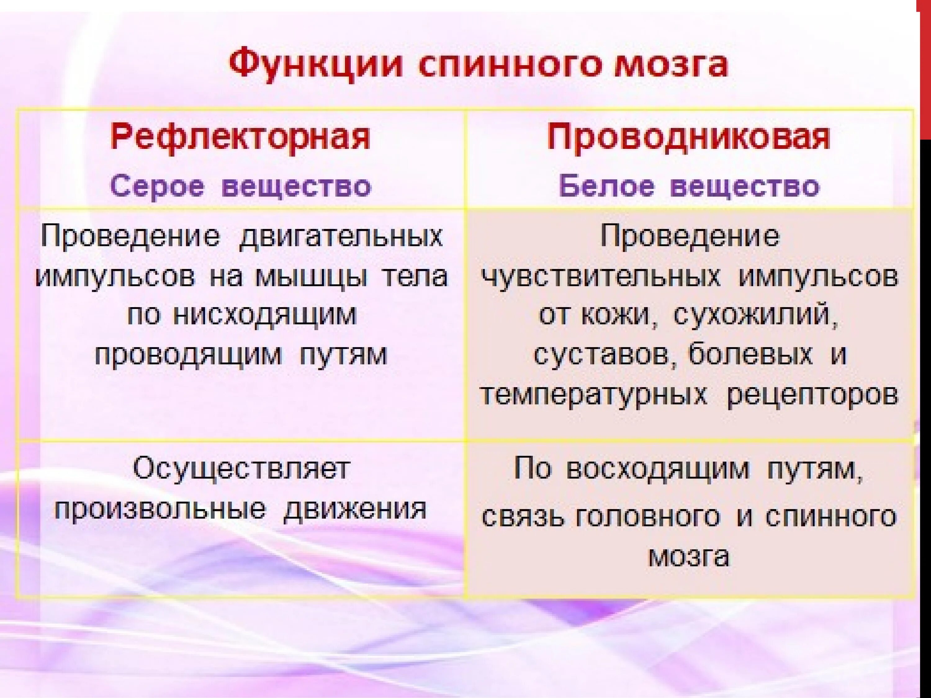 Вещество спинного мозга выполняющие проводниковую функцию. Проводниковая функция спинного мозга схема. Функции спинного мозга рефлекторная функция. Проводниковая функция спинного мозга таблица. Рефлекторная функция проводниковая функция спинного мозга.