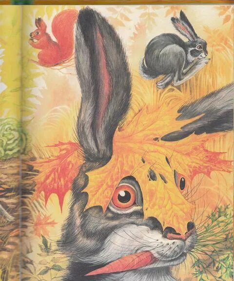 Пришвин заячьи лапы. К. Иллюстрация к сказке заячьи лапы. Зайцы лапы паустовский. "заячьи лапы".
