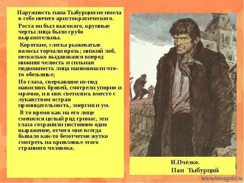 Пан Тыбурций Драб портрет. Пан Тыбурций характеристика. Образ Тыбурция Короленко. В дурном обществе портрет Тыбурция.