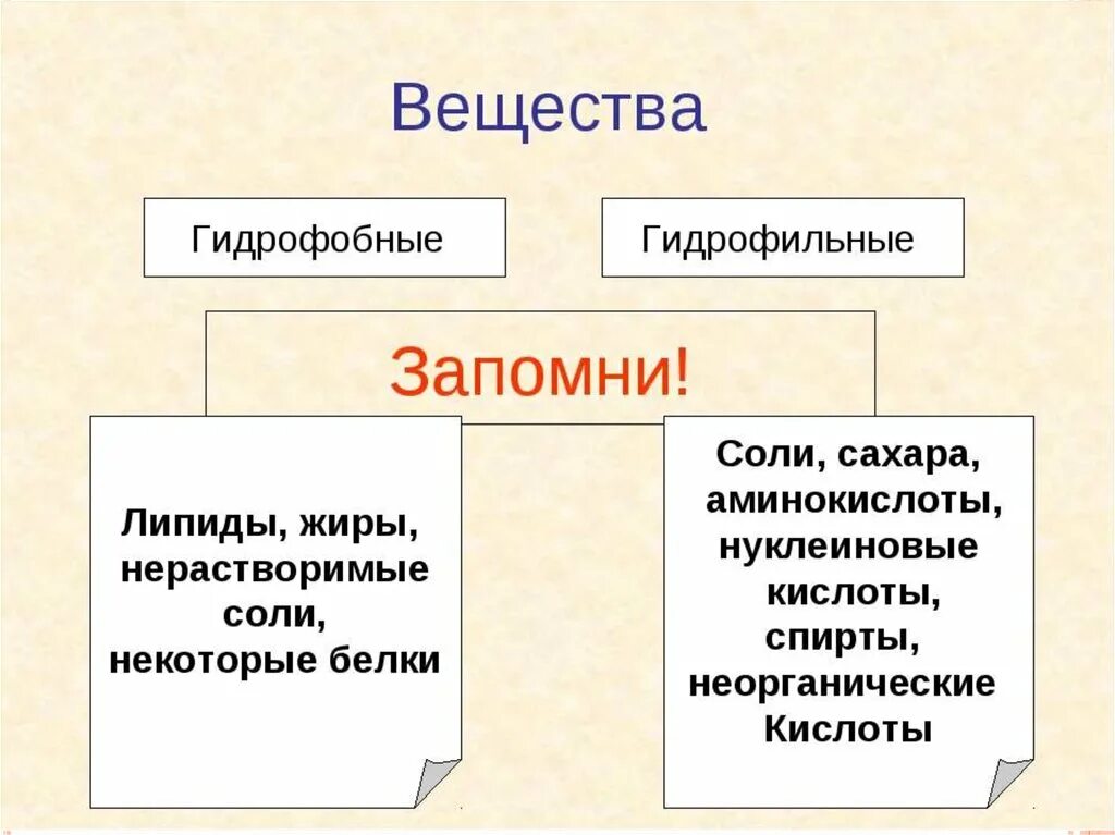 Гидрофильные гидрофобные и гидрофильные вещества. Гирофилные и идрфобоные веества. Гидрофобные вещества. Гидрофильные соединения. Средства гидрофильные при каких работах