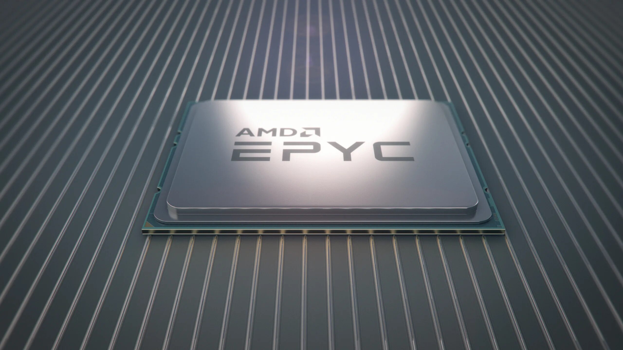 AMD EPYC 9654. AMD EPYC 9000. AMD EPYC Milan. Процессор AMD EPYC 9654. Amd server